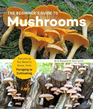 The Beginner's Guide to Mushrooms