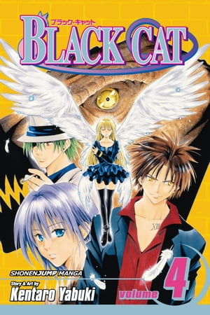 Black Cat, Vol. 4