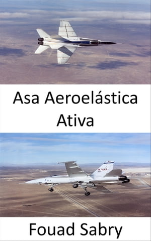 Asa Aeroel?stica Ativa Melhore a manobrabilidade da aeronave em velocidades trans?nicas e supers?nicasŻҽҡ[ Fouad Sabry ]