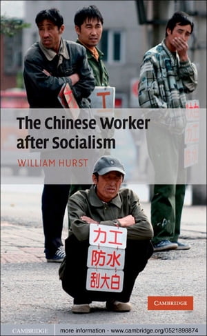 The Chinese Worker after Socialism