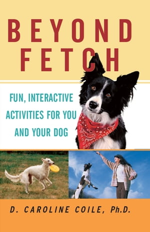 Beyond Fetch