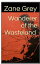 Wanderer of the WastelandŻҽҡ[ Zane Grey ]