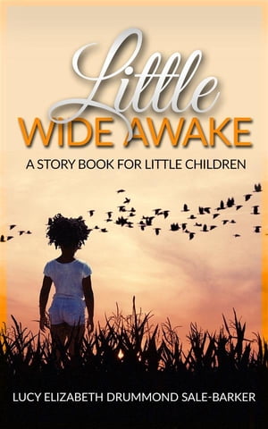 Little Wide Awake - A story book for little children