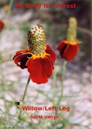 My Body is a Forest-Willow/Left Leg
