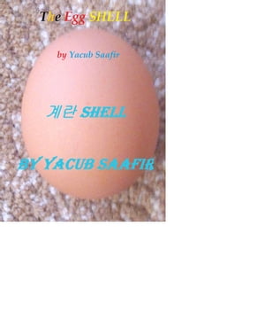 계란 SHELL