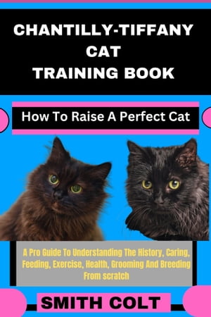 CHANTILLY-TIFFANY CAT TRAINING