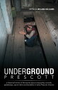 ŷKoboŻҽҥȥ㤨Underground Prescott A Historical Review of the Stories About Catacombs, Tunnels, Speakeasys, Opium Dens and Bordellos in Early Prescott, ArizonaŻҽҡ[ Patricia Ireland-Williams ]פβǤʤ468ߤˤʤޤ