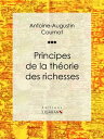 Principes de la th?orie des richesses