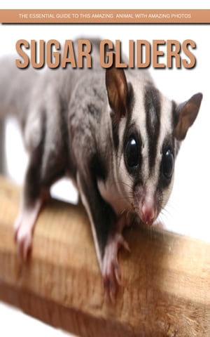 Sugar gliders: The Essential Guide to This Amazing Animal with Amazing Photos