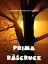 Prima r?scruceŻҽҡ[ Gheorghe Balog-Cri?an ]