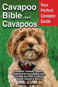 Cavapoo Bible And Cavapoos Your Perfect Cavapoo Guide Cavapoos, Cavapoo Puppies,...