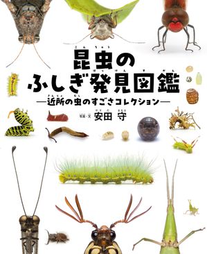 昆虫のふしぎ発見図鑑 近所の虫のすごさコレクション【電子書籍】[ 安田 守 ]