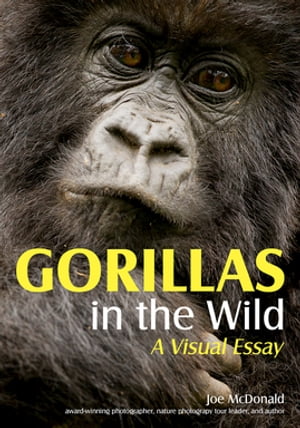 Gorillas in the Wild