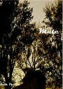 Mute【電子書籍】[ Ruth Pettite ]