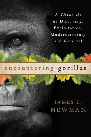 Encountering Gorillas