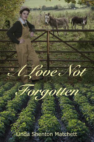 A Love Not Forgotten