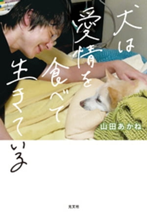 犬は愛情を食べて生きている