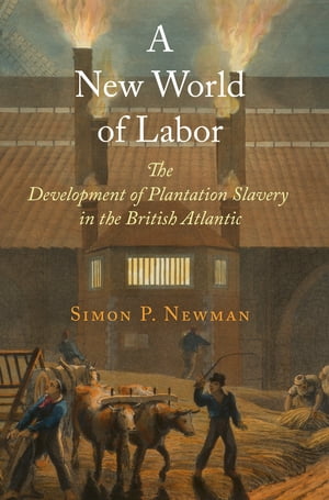 A New World of Labor The Development of Plantation Slavery in the British AtlanticŻҽҡ[ Simon P. Newman ]