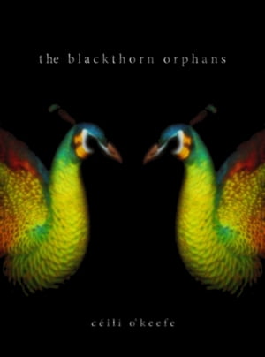 The Blackthorn Orphans