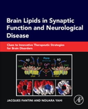 Brain Lipids in Synaptic Function and Neurological Disease