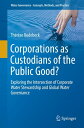 Corporations as Custodians of the Public Good? Exploring the Intersection of Corporate Water Stewardship and Global Water Governance