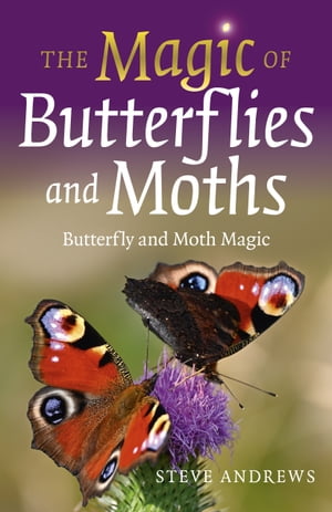 The Magic of Butterflies and Moths