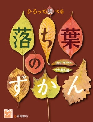 ひろって調べる 落ち葉のずかん【電子書籍】[ 安田守 ]