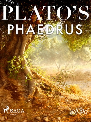 Plato's Phaedrus