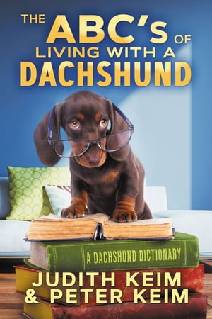 The Abc'S of Living With A Dachshund A Dachshund