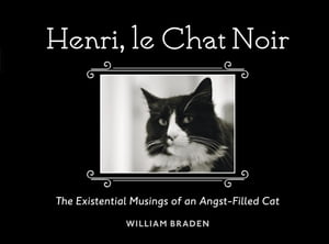 Henri, le Chat Noir