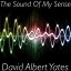 The Sound Of MY SenseŻҽҡ[ David Yates ]