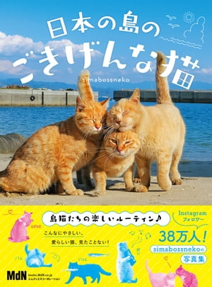 日本の島のごきげんな猫