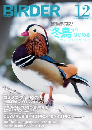 BIRDER2018年12月号