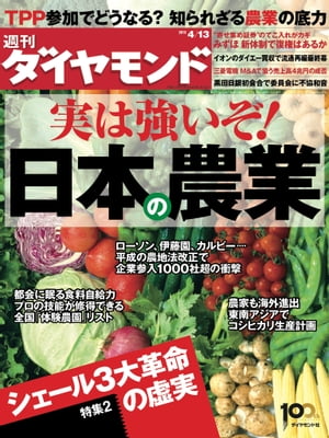 週刊ダイヤモンド 13年4月13日号