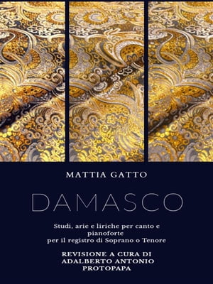 DamascoŻҽҡ[ Mattia Gatto ]