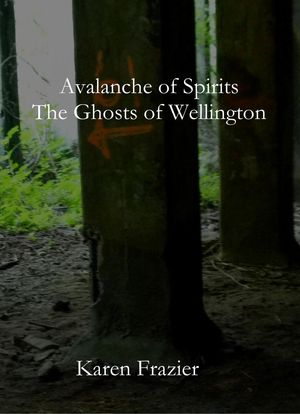 ŷKoboŻҽҥȥ㤨Avalanche of Spirits: The Ghosts of WellingtonŻҽҡ[ Karen Frazier ]פβǤʤ150ߤˤʤޤ
