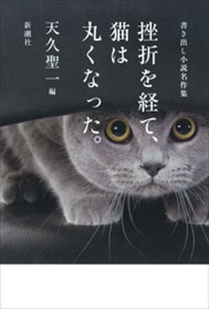 挫折を経て、猫は丸くなった。ー書き出し小説名作集ー