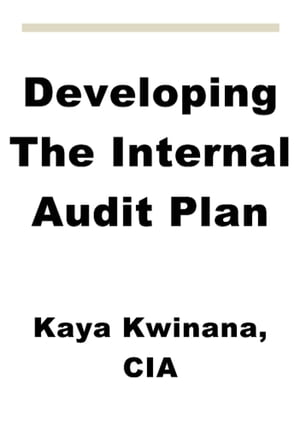 Developing The Internal Audit Plan