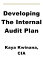 Developing The Internal Audit Plan