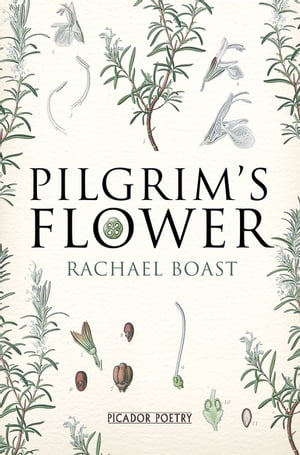 Pilgrim's Flower【電子書籍】[ Rachael Boast ]