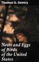 Nests and Eggs of Birds of the United States Ill