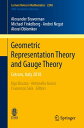 Geometric Representation Theory and Gauge Theory Cetraro, Italy 2018【電子書籍】 Alexander Braverman