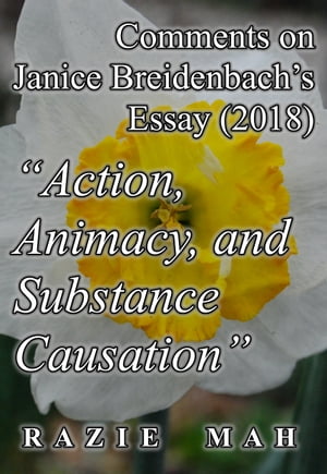 Comments on Janice Breidenbach’s Essay (2018) "Action, Agency, and Substance Causation"