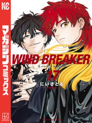 ＷＩＮＤ　ＢＲＥＡＫＥＲ（１７）