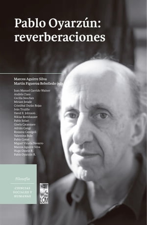 Pablo Oyarzun: reverberaciones