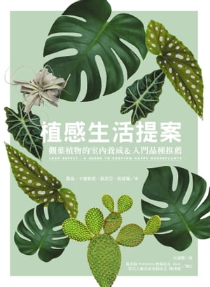 植感生活提案：觀葉植物的室內養成&入門品種推薦