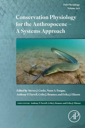 Conservation Physiology for the Anthropocene - A Systems Approach