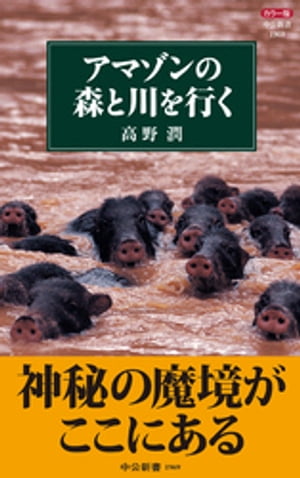 高野潤