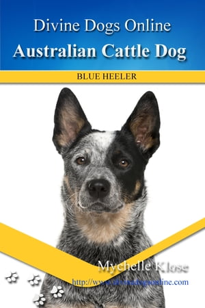 Australian Cattle DogŻҽҡ[ Mychelle Klose ]