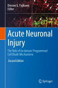 Acute Neuronal Injury The Role of Excitotoxic Programmed Cell Death Mechanisms